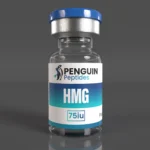 HMG