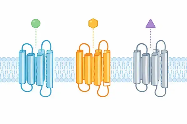 Triple-incretin analog activating GLP-1 GIP and glucagon receptors simultaneously