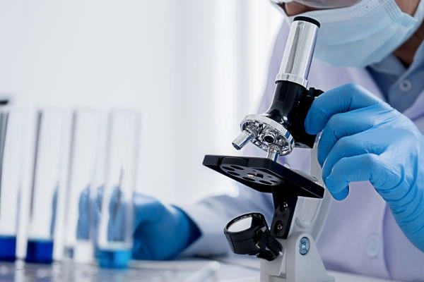 Researcher studying emerging MOTS-C cell cultures