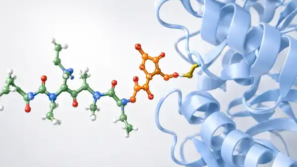 Inside "Why DAC peptides break standard protocols" section