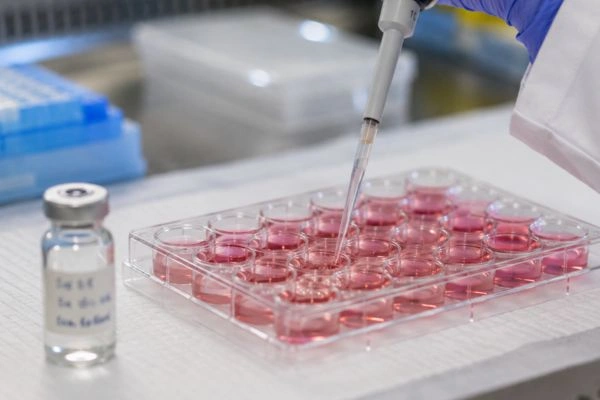 Pipetting direct NAD+ solution into culture plate