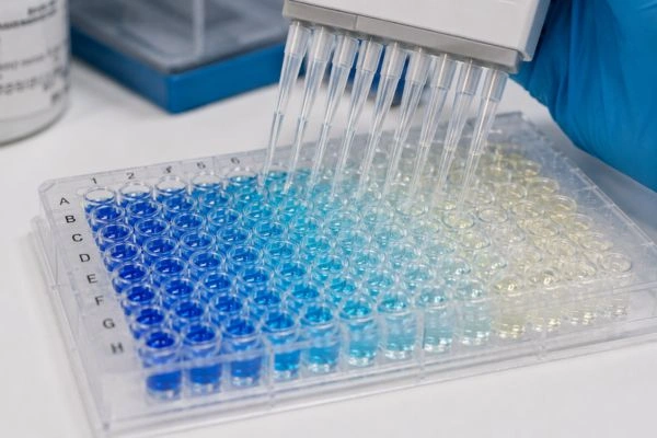 Colorimetric microplate showing ELISA immunoassay results