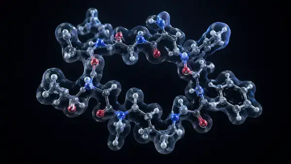 3D molecular structure of melanotan 2 cyclic heptapeptide with lactam bridge