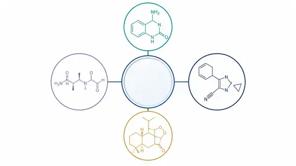 KLOW blend components infographic