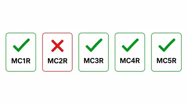 Melanotan 2 melanocortin receptor selectivity profile MC1R through MC5R